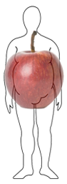 Obesidad androide en forma de manzana
