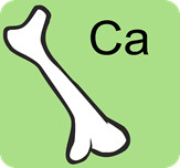 Calci en l'ós