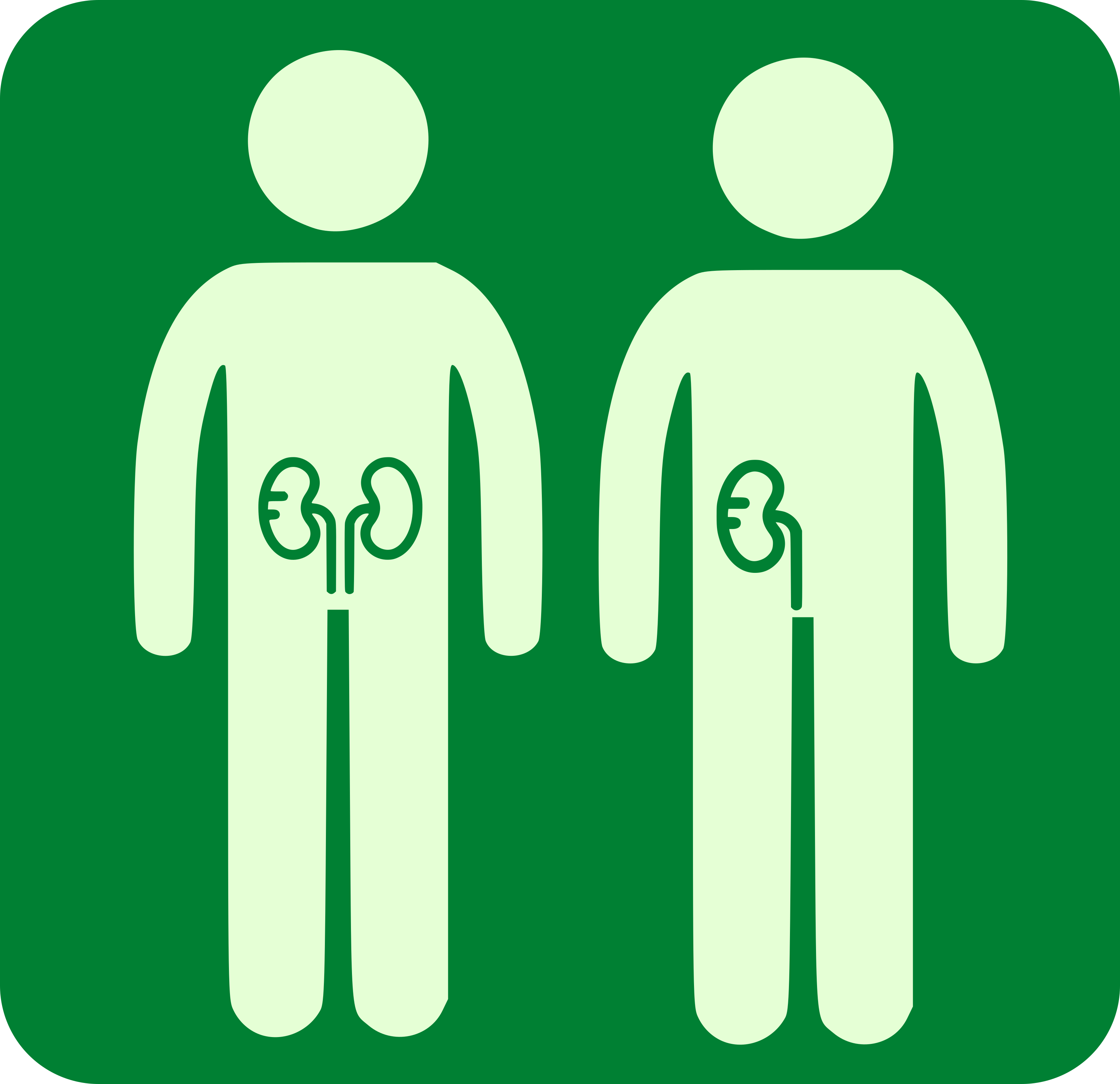 Transplantament renal