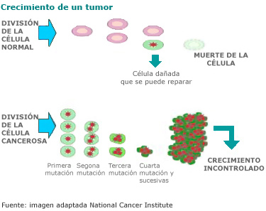 Crecimiento de un tumor