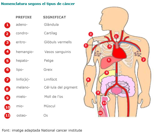 Nomenclatura segons el tipus de càncer