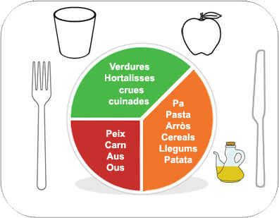Aliments reguladors: verdures, hortalisses, crues i cuinades; aliments energètics: pa, pasta, arròs, cereals, llegums, patata; aliments constructors: peix, carn, aus, ous