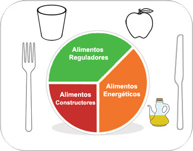 Método del plato: 37,5% Alimentos reguladores, 37,5% Alimentos energéticos, 25% Alimentos constructores