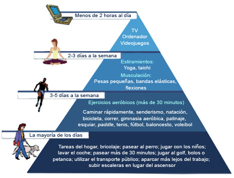 Pirámide de la actividad física en adultos