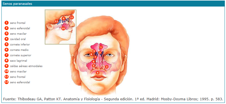 Herpes - oral: MedlinePlus Medical Encyclopedia