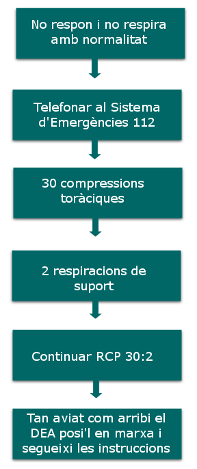 Passos de RCP Quadre de reanimació