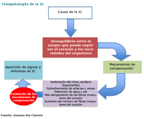 Mecanismos de compensación