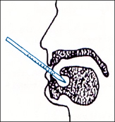 Temperatura oral