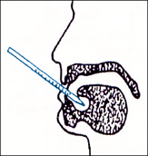 Toma temperatura con el termómetro en la cavidad oral bajo la lengua