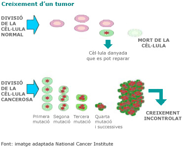 Divisió de la cèl·lula en un tumor